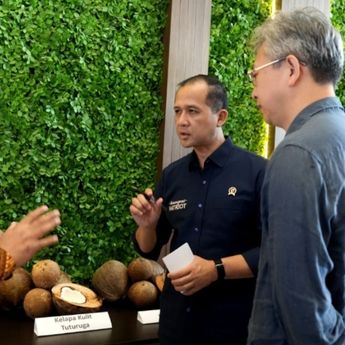 Incar Pasar Tiongkok, Hilirisasi Kelapa di Halmahera Utara Siap Serap 20 Ribu Tenaga Kerja
