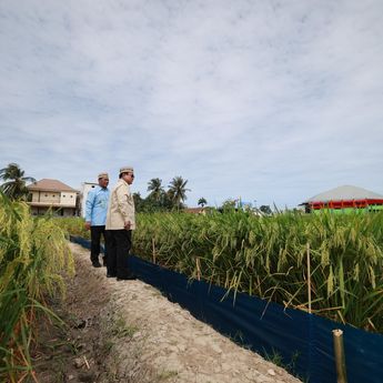 Spanduk Dukung MBG Membentang Kala Prabowo Pidato di Hadapan Petani-Nelayan