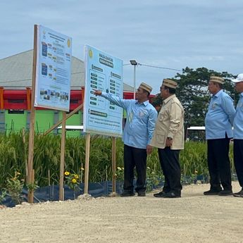 Petani Sampaikan Apresiasi atas Dukungan Pemerintah di Sektor Pertanian