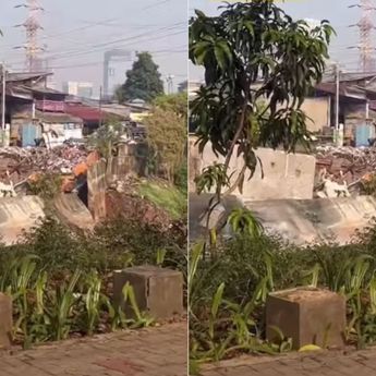 Ngeri! Rumah Warga Ambles Akibat Terseret Longsor di Pasar Pintu Air Jakarta