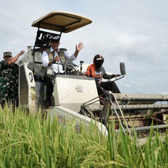 BULOG Tegaskan Penyerapan Gabah Petani Berjalan Sepanjang Tahun