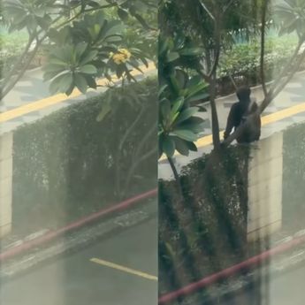 Lagi-Lagi WNA Diduga Jadi Korban Komplotan Copet di Trotoar LRT Setiabudi