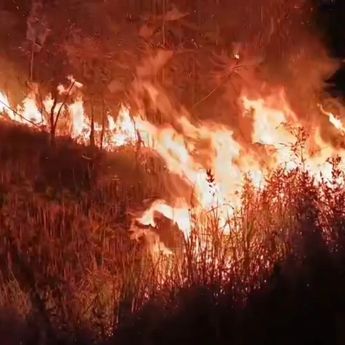 Kebakaran Hutan di Prancis Meluas, 12 Ribu Warga Dievakuasi
