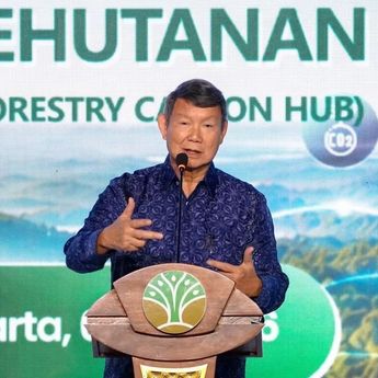 Hashim: Pasar Karbon di Indonesia Dukung Penurunan Emisi Nasional