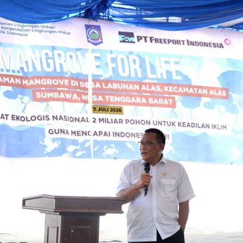 Freeport dan KLH Perkuat Rehabilitasi Mangrove Nasional, Rampungkan Penanaman 1,5 Juta Bibit di NTB