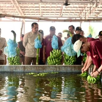 Mentrans Dorong Pengembangan Komoditas Unggulan untuk Perkuat Swasembada Pangan