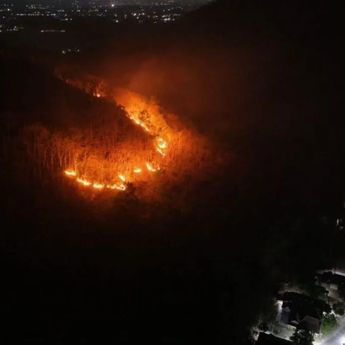 Kebakaran di Gunung Nglarangan Ponorogo Hanguskan 15 Hektare