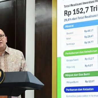 Rosan Sebut Bauksit Geser Nikel Jadi Sasaran Utama Investasi Hilirisasi pada Kuartal II 2026