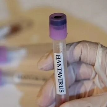 Venezuela Konfirmasi Tiga Kematian Akibat Hantavirus di Anzoategui