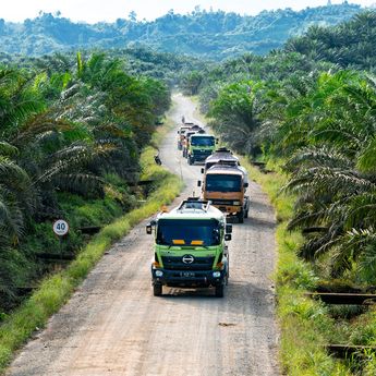 Indonesia Diminta Tak Hanya Jadi Produsen, Tapi Pusat Hilirisasi Sawit Global