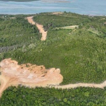 Kemenhut Tetapkan PT GTP Tersangka Korporasi Kasus Perambahan Hutan Lindung di Batam