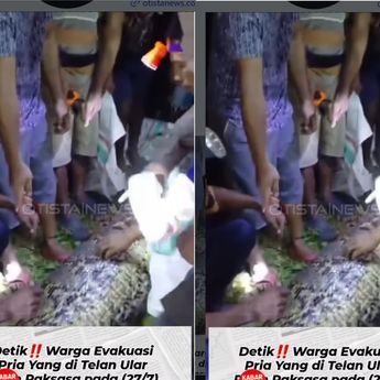 VIDEO: Detik-detik Warga Keluarkan Jasad Pria dari Ular Piton Raksasa