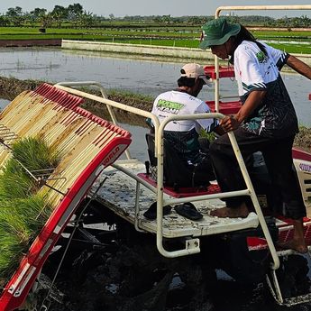 BPS Proyeksi Produksi Beras Nasional Tembus 28,71 Juta Ton hingga September 2026
