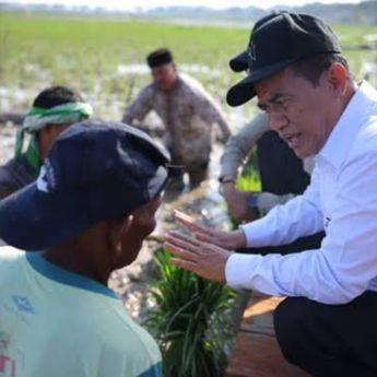 Pemerintah Aceh Jelaskan Penyaluran Bantuan Kementan untuk Sawah dan Kebun Pascabencana