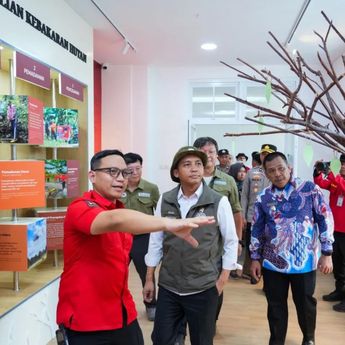 Cegah Karhutla Berulang, Menhut Sebut Negara Siap Pasang Badan demi Keselamatan Warga