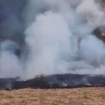 Jalur Pendakian Gunung Gede Pangrango Ditutup hingga 11 Agustus Gegara Kebakaran