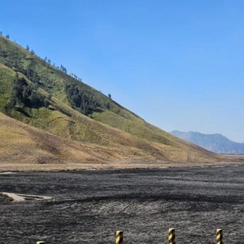 Menhut Serahkan Penyelidikan Karhutla Gunung Bromo kepada Aparat Penegak Hukum