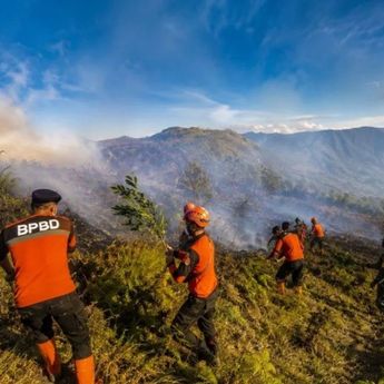 BPBD Lumajang Kerahkan Tim Reaksi Cepat Tangani Karhutla di Bromo