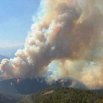 British Columbia Kanada Tetapkan Status Darurat Akibat Karhutla