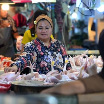 BPS Minta Pemda Waspadai Kenaikan Harga Daging Ayam Ras