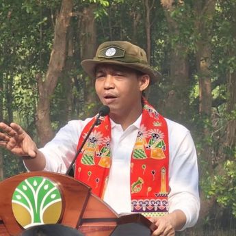 Kematian Gajah Sumatera di Aceh Jadi Evaluasi Kemenhut untuk Restorasi Ekosistem