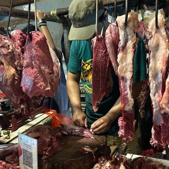 Harga Daging Sapi Tembus Rp143.737