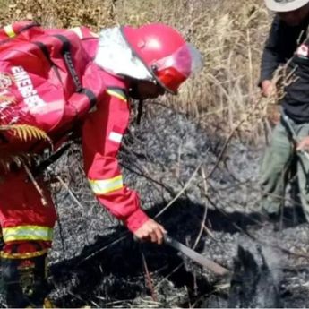 Api di Jalur Pendakian Gunung Rinjani Padam, Balai TNGR Imbau Pendaki Tetap Waspada
