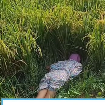 Jasad Wanita Misterius Gegerkan Warga Karawang, Ditemukan Terkapar di Persawahan