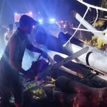 7 Warga Pidie Tewas Tertimpa Pohon Tumbang