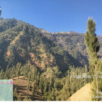 BPBD: Titik Karhutla Bromo di Wilayah Probolinggo Berhasil Dipadamkan