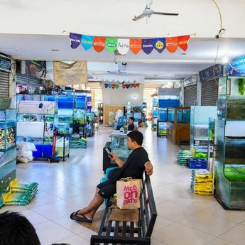 PWI-APIC Gelar Edukasi Ikan Air Tawar untuk Pelajar Jakbar