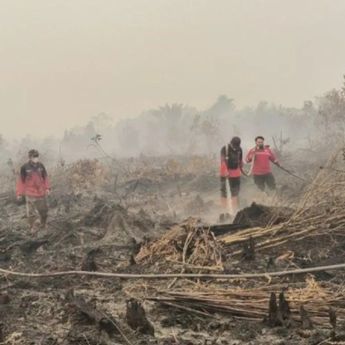Polda Kalteng Tetapkan 12 Tersangka Kasus Karhutla hingga Agustus 2026