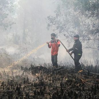 BNPB Deteksi 1.487 Titik Panas Karhutla di Kalimantan