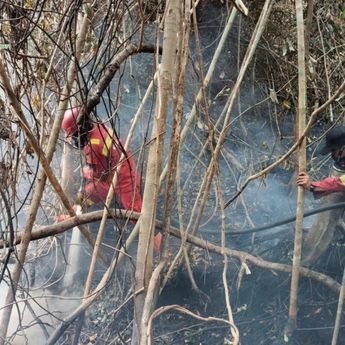 BMKG Deteksi 733 Titik Panas Tersebar di 9 Provinsi Sumatera