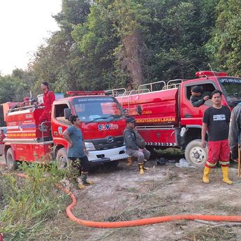 BNPB Perkuat Operasi Udara di 6 Provinsi Prioritas Karhutla