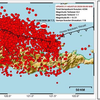 BMKG Catat 4.258 Gempa Susulan Pasca-Gempa Utama Flores, Berpotensi Terjadi Hingga 4 Minggu