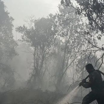 TNI Kerahkan 14.167 Personel untuk Tangani Kebakaran Hutan di Indonesia