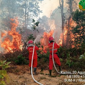 6 Provinsi di Kalimantan dan Sumatera Jadi Prioritas Penanganan Karhutla, Operasi Darat Jadi Ujung Tombak