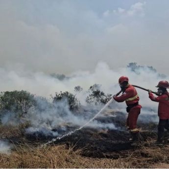 Atasi Karhutla Sumsel, Kemenhut Tambah Pasukan dan Pemadaman Udara