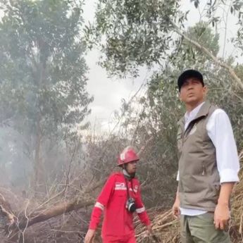Menhut Tekankan Pemantauan Hotspot untuk Cegah Karhutla Meluas
