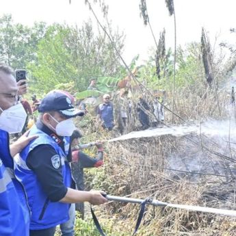 KLH Periksa 11 Perusahaan yang Terindikasi Terkait Karhutla di Kalsel