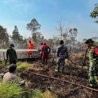 Kebakaran di TN Way Kambas Berhasil Dipadamkan, Seluruh Gajah Dipastikan Aman