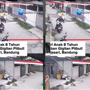VIDEO: Tragis, Anak 8 Tahun Digigit Anjing Pitbull di Bandung