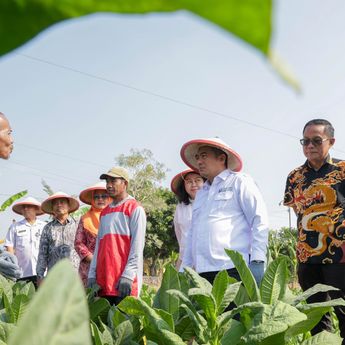 Kemitraan Tembakau Dorong Produktivitas dan Kesejahteraan Petani Rembang