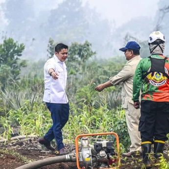 Kebakaran Hutan, Kemlu Sebut Belum Ada Protes dari Negara Tetangga 