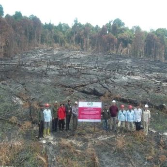 Kemenhut Bekukan Izin PT MPK akibat Karhutla Berulang