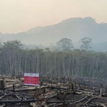 Kemenhut Beri Sanksi 6 Perusahaan di Kalimantan akibat Karhutla