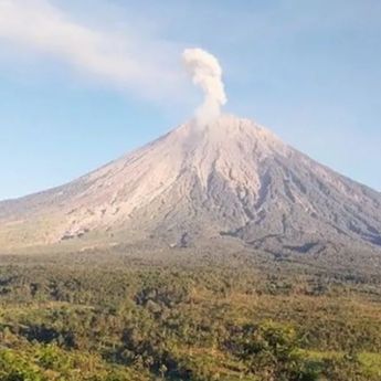 Gunung Semeru Alami 21 Kali Gempa Letusan dalam 6 Jam, Status Siaga