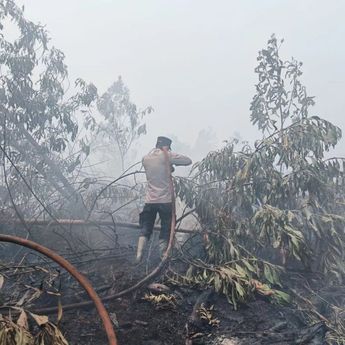 Cek Fakta: Haji Isam Ditunjuk sebagai Koordinator Penanganan Karhutla di Kalimantan?
