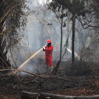 Jepang Kerahkan Kapal Tempur dan Helikopter untuk Bantu Penanganan Karhutla di Indonesia